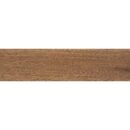 10X40 ARTICWOOD AMBER