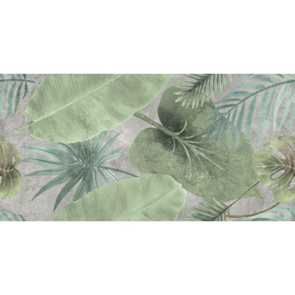 24x48 Canvas Vireo Matte