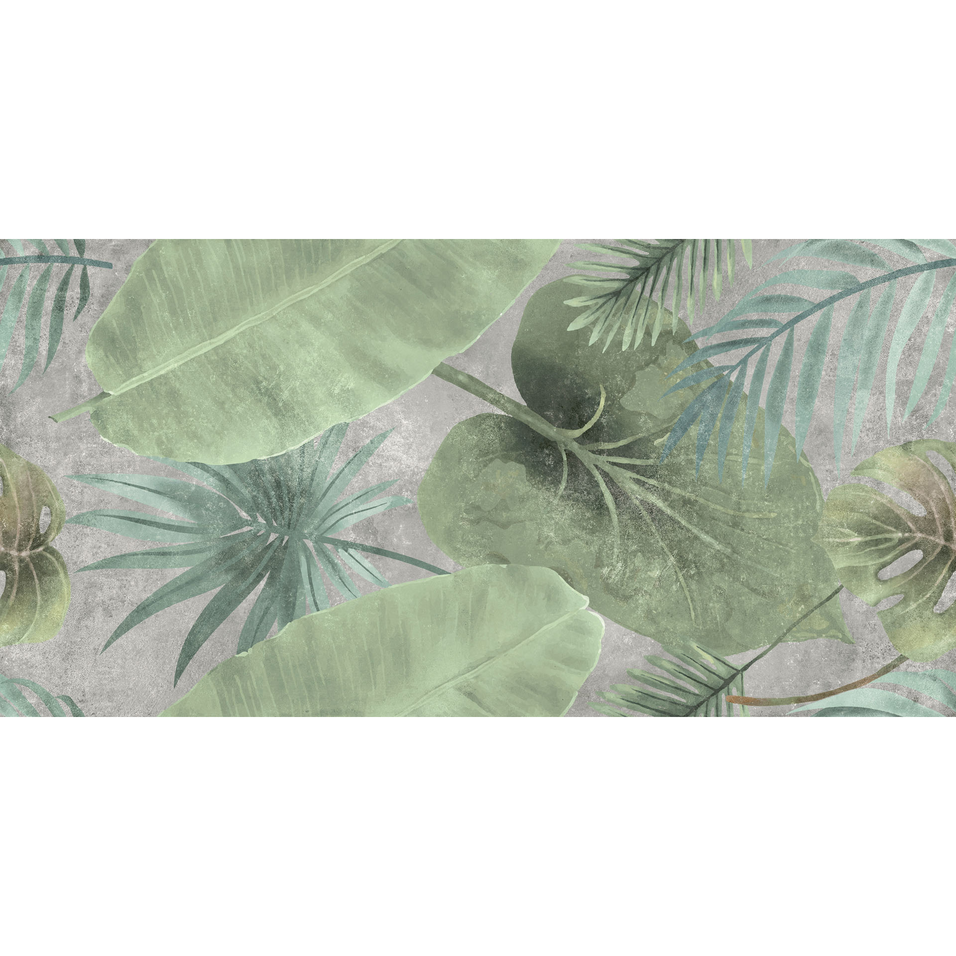 24x48 Canvas Vireo Matte