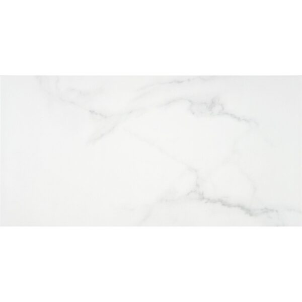 12x24 Eterna White Matte