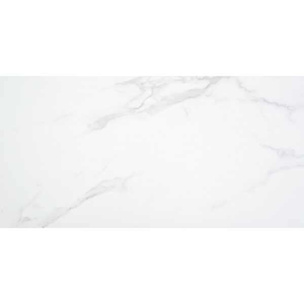 24x48 Eterna White Matte