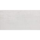 12x24 Forge Silver Matte