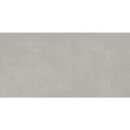 12x24 Fundamental Ash Matte