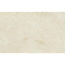 10x17 Lithra Tan Matte