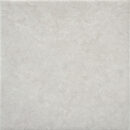 18x18 Lustra Grey Matte