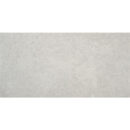 24x48 Lustra Grey Matte