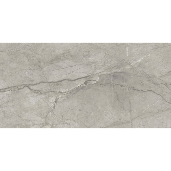 24x48 Majesta Grigio Sovrano Matte