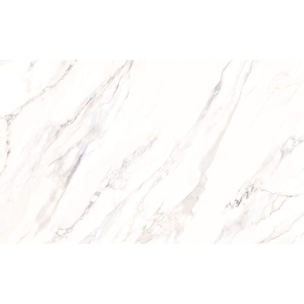 24x48 Pietrina Argento Shiny