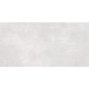 12x24 Serenity Ash Polished