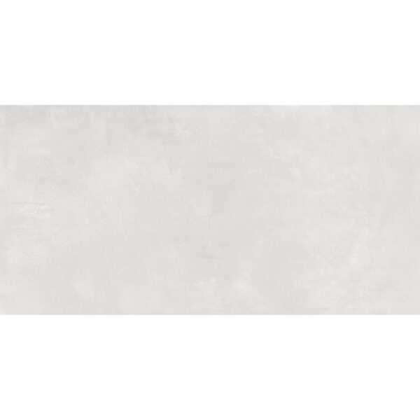 24x48 Serenity Ash Polished