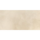 12x24 Celestra Solace Matte