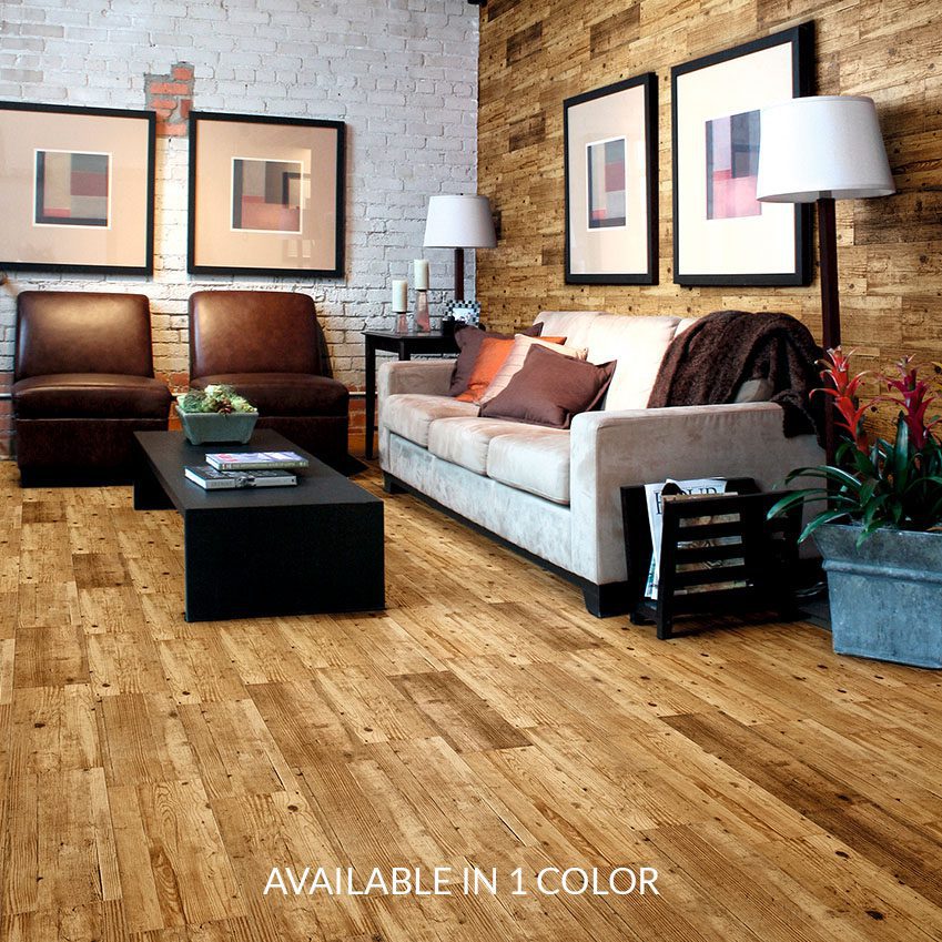 DFC-Collections-Timberlane-CoverImage-opt