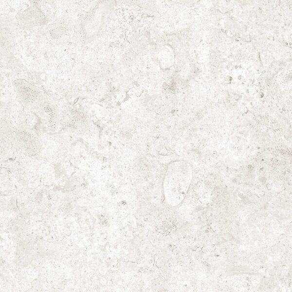 DFC-Nautica-24x24-Oyster Matte-Porcelain-001