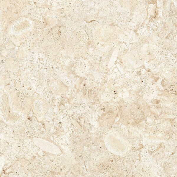 24x24 Nautica Seashell 2CM Paver