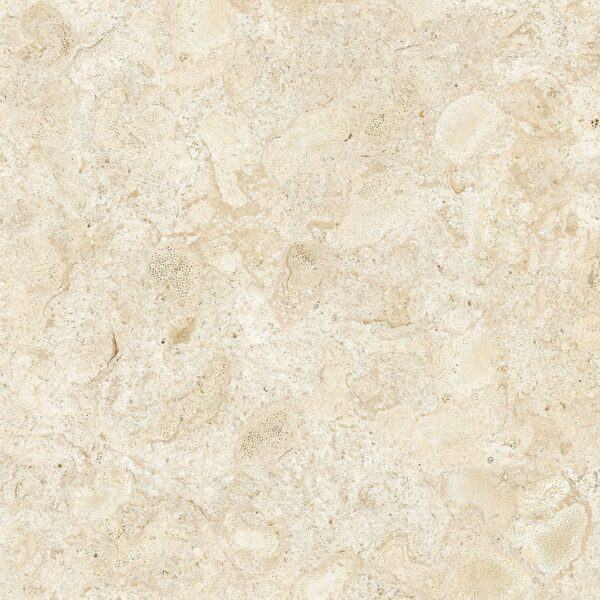 32x32 Nautica Seashell Matte